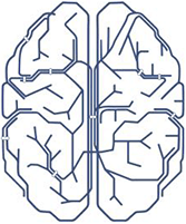 The Neuromodulation Division of the Semel Institute UCLA Logo