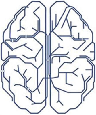 UCLA Neuromodulation Division of the Semel Institute